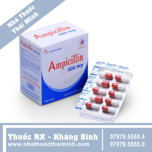 Thuốc Ampicillin 500mg - hỗ trợ điều trị viêm đường hô hấp trên