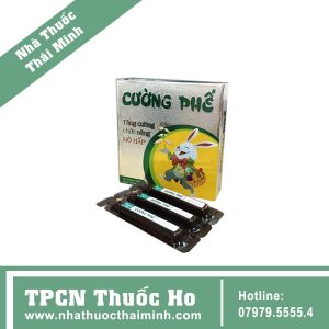 Siro Cường Phế - Giúp tăng cường chức năng hô hấp (10 ống x 10ml)