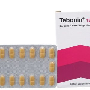 Thuốc tebonin 120mg